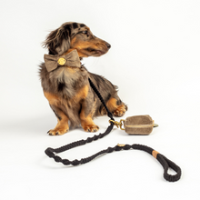 Load image into Gallery viewer, Macramé Originals Dog Lead - Natural
