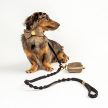 Load image into Gallery viewer, Macramé Originals Dog Lead - Black