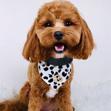 Load image into Gallery viewer, Dog Bandana - Kenya