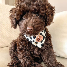 Load image into Gallery viewer, Dog Bandana - Kenya